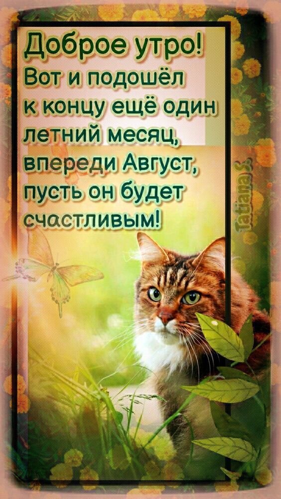 Доброе утро! Открытка с милым котом и пожеланием счастливого августа. Красивое летнее изображение для поднятия настроения и поздравлений. Открытка Пусть Август будет счастливым! Открытка с пожеланием доброго утра и наступающим августом. На изображении очаровательный рыже-полосатый кот на фоне летней зелени и цветов, а также летящая бабочка. Текст на русском языке: «Доброе утро! Вот и подошел к концу еще один летний месяц, впереди Август, пусть он будет счастливым!»