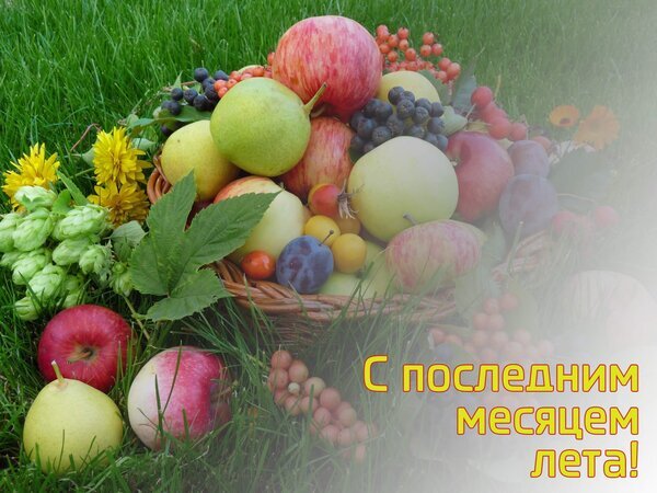 Красочный натюрморт с корзиной спелых фруктов и ягод на траве. Поздравление «С последним месяцем лета!» — идеальное изображение для сезонных открыток. Открытка С последним месяцем лета Яркая и аппетитная композиция из свежих сезонных фруктов и ягод, разложенных в плетеной корзине на зеленой траве. В натюрморте представлены спелые яблоки разных сортов, сочные груши, темный виноград, сливы и ягоды. На фоне видны цветы подсолнуха и декоративные листья. Картинка наполнена атмосферой позднего лета и изобилия урожая. Текст на русском языке «С последним месяцем лета!» добавляет пожелание приятного завершения сезона