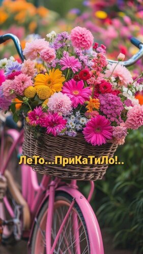 Летняя открытка: пышный букет цветов в корзине розового велосипеда с надписью «Лето...ПриКаТИло!..». Яркое изображение для создания летнего настроения. Открытка Лето прикатило Яркая и позитивная летняя открытка с пышным букетом разноцветных цветов (астры, герберы, хризантемы), лежащим в плетеной корзине розового велосипеда. На переднем плане нанесена вдохновляющая надпись на русском языке: 