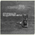 3 открыток Международный день бездомных животных