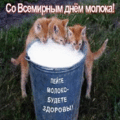 2 открыток  Всемирный день молока. 1 июня
