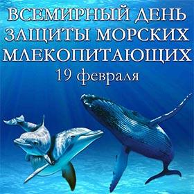 Всемирный день защиты морских млекопитающих. 19 февраля