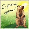 9 открыток  ДЕНЬ СУРКА