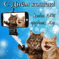 83 открыток  МЕЖДУНАРОДНЫЙ ДЕНЬ КОШЕК