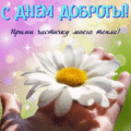 137 открыток  ВСЕМИРНЫЙ ДЕНЬ ДОБРОТЫ