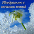 264 открыток  С ПЕРВЫМ ДНЕМ ВЕСНЫ