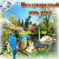 2 открыток  Международный день птиц. 1 апреля