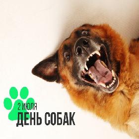 1 открыток  Международный день собак. 2 июля