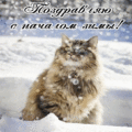208 открыток  С ПЕРВЫМ ДНЕМ ЗИМЫ