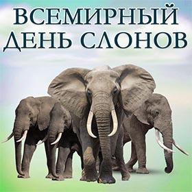 Слоноуин. Всемирный день слонов
