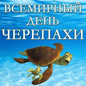 Всемирный день черепахи. 23 мая