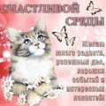 423 открыток  НА СРЕДУ