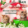 579 открыток  НА СУББОТУ