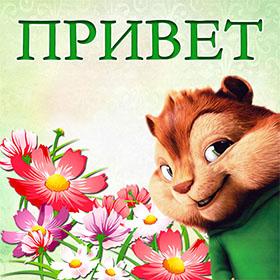 Привет. Красивые открытки и картинки