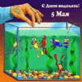 7 открыток  ДЕНЬ ВОДОЛАЗА