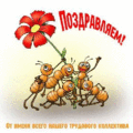 1007 открыток  С ДНЕМ РОЖДЕНИЯ КОЛЛЕГЕ