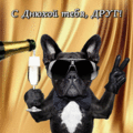 935 открыток  С ДНЕМ РОЖДЕНИЯ ДРУГУ