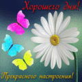 5629 открыток  ХОРОШЕГО ДНЯ И НАСТРОЕНИЯ