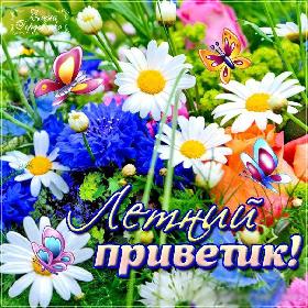 Пожелания На Лето. Красивые открытки и картинки