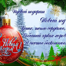 Пускай подарит Новый год Успех, тепло сердечное, Событий ярких хоровод И счастье бесконечное!