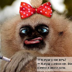 — А муза у вас есть? — А муза у меня нет. Вот такая у меня в зизни зопа.