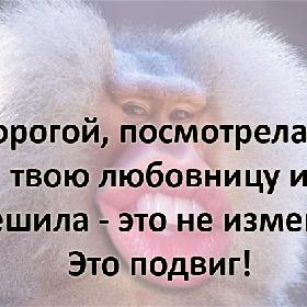 Дорогой, посмотрела на твою любовницу и решила - это не измена! Это подвиг!