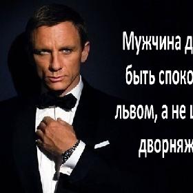 Мужчина должен быть спокойным львом, а не шумной дворняжкой.