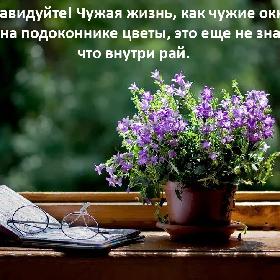 Не завидуйте! Чужая жизнь, как чужие окна. Если на подоконнике цветы, это еще не значит что внутри рай.