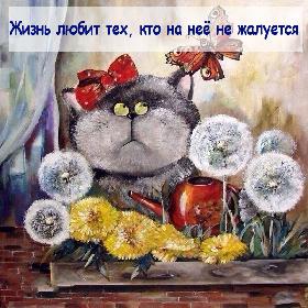 Жизнь любит тех, кто на нее не жалуется.