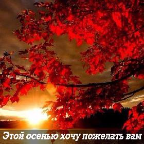 Этой осенью хочу пожелать вам побольше уюта, тепла и простых, житейских радостей.