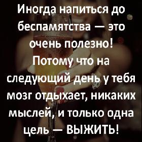 Иногда напиться до беспамятства — это очень полезно! Потому что на следующий день у тебя мозг отдыхает, никаких мыслей, и только одна цель — выжить!