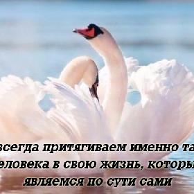 Мы всегда притягиваем именно такого человека в свою жизнь, которым являемся по сути сами.