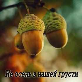 Не осень в нашей грусти виновата, а лишь в душе отсутствие весны…
