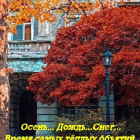 Осень... Дождь...Снег... Время самых теплых объятий, самых уютных вечеров, самых душевных слов...