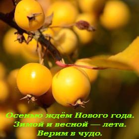 Осенью ждем Нового года. Зимой и весной — лета. Верим в чудо. Но чудо ведь в каждом дне. Уже сегодня, сейчас. Не упускайте возможности наслаждаться жизнью.