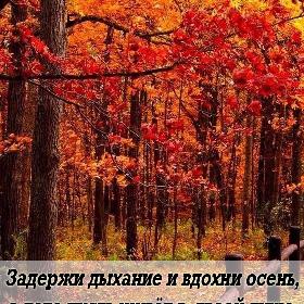 Задержи дыхание и вдохни осень, а лето пусть живет в твоей душе, наполняя ее теплом.