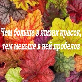 Чем больше в жизни красок, тем меньше в ней пробелов