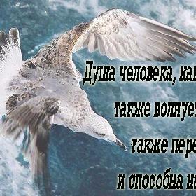 Душа человека, как море, также волнуется, также переживает и способна на шторм.