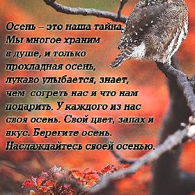 Осень – это наша тайна. Мы многое храним в душе, и только прохладная осень, лукаво улыбается, знает, чем согреть нас и что нам подарить. У каждого из нас своя осень. Свой цвет, запах и вкус. Берегите осень. Наслаждайтесь своей осенью.