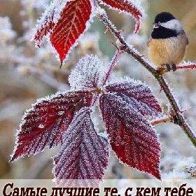 Самые лучшие те, с кем тебе тепло в любое время года.