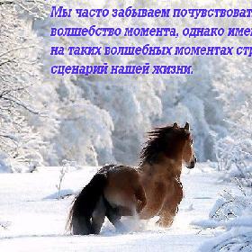 Мы часто забываем почувствовать волшебство момента, однако именно на таких волшебных моментах строится сценарий нашей жизни.