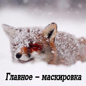 Главное - маскировка