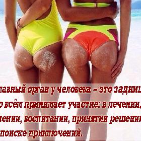 Главный орган у человека – это задница. Во всем принимает участие: в лечении, учении, воспитании, принятии решений и поиске приключений.