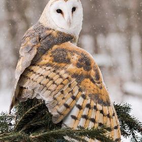 Наша жизнь мимолетна... будьте в ней настоящими!