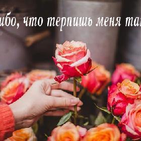 Спасибо, что терпишь меня такую...