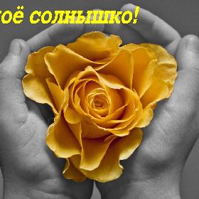 Ты мое солнышко!