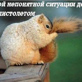В любой непонятной ситуации держи хвост пистолетом