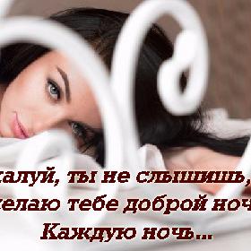 Пожалуй, ты не слышишь, но я желаю тебе доброй ночи. Каждую ночь...