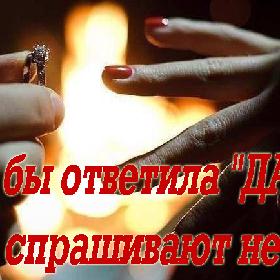 Я бы ответила 