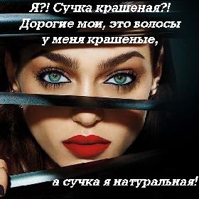 Я?! Сучка крашеная?! Дорогие мои, это волосы у меня крашеные, а сучка я натуральная!